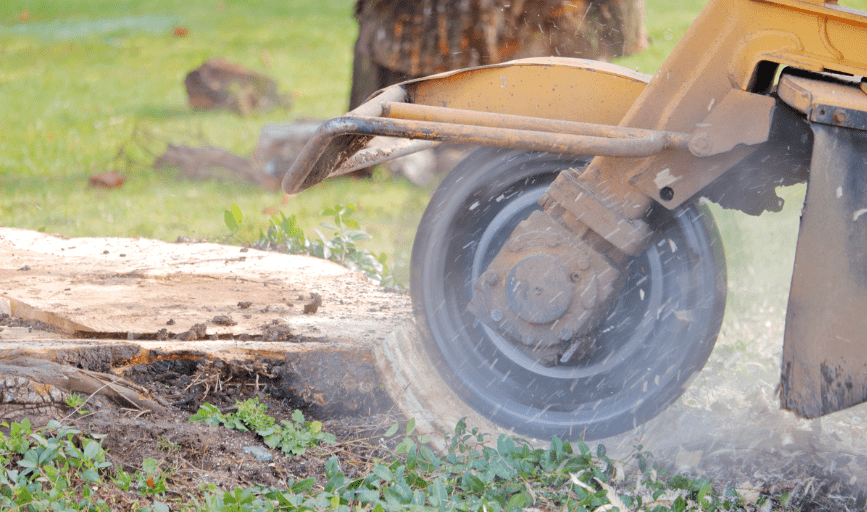 Stump Grinding